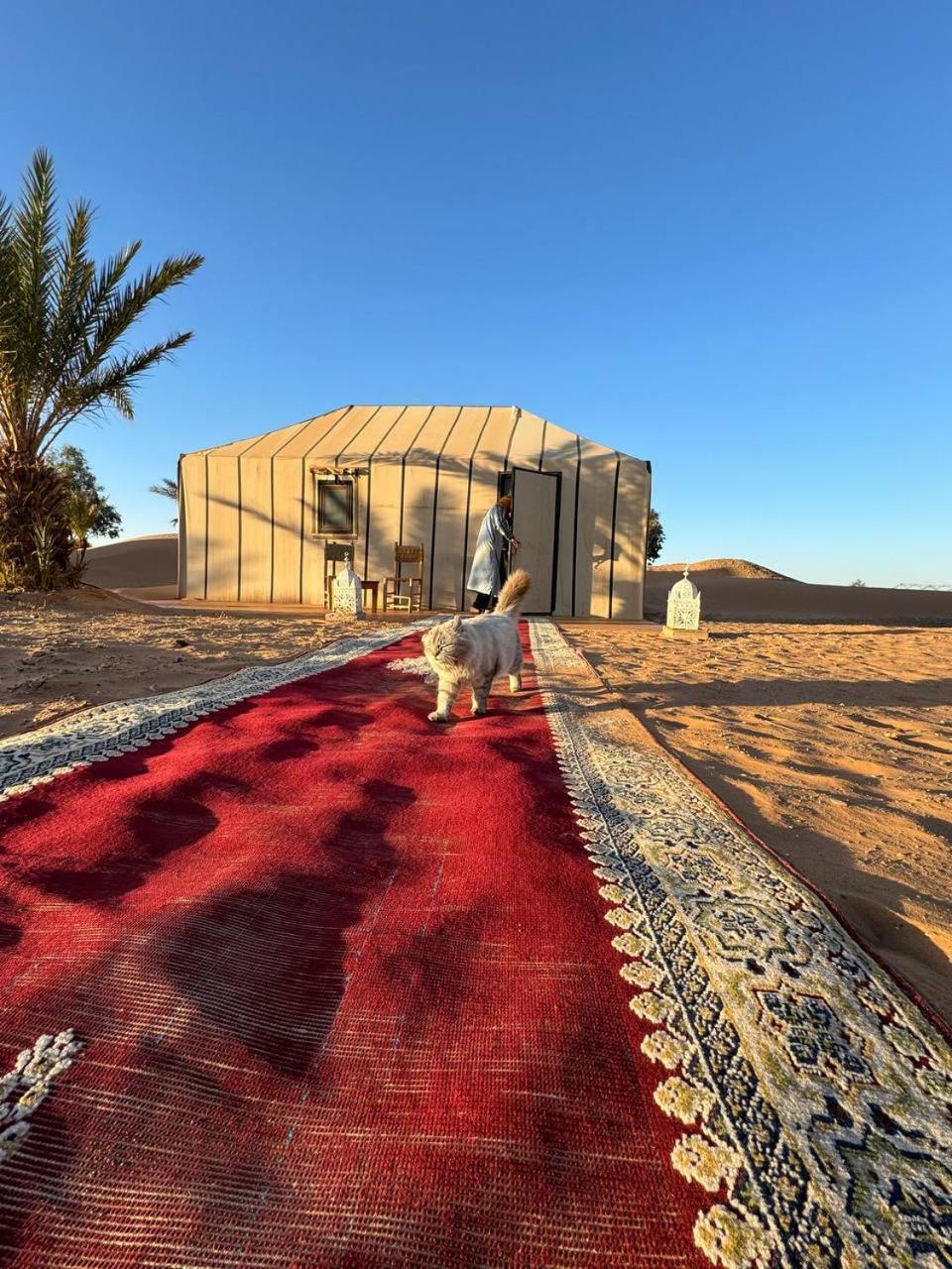 Sahara Luxury Camp Vip Hotel Merzouga Eksteriør billede